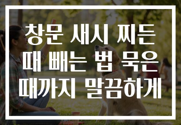 창문 새시 찌든 때 빼는 법 묵은 때까지 말끔하게