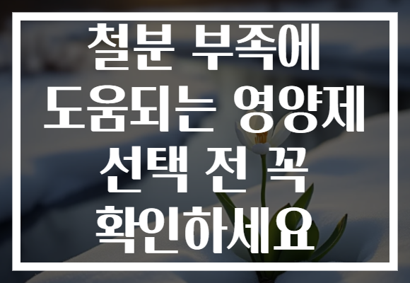 철분 부족에 도움되는 영양제 선택 전 꼭 확인하세요