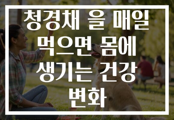 청경채 을 매일 먹으면 몸에 생기는 건강 변화