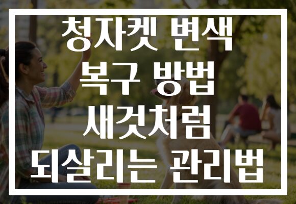 청자켓 변색 복구 방법 새것처럼 되살리는 관리법