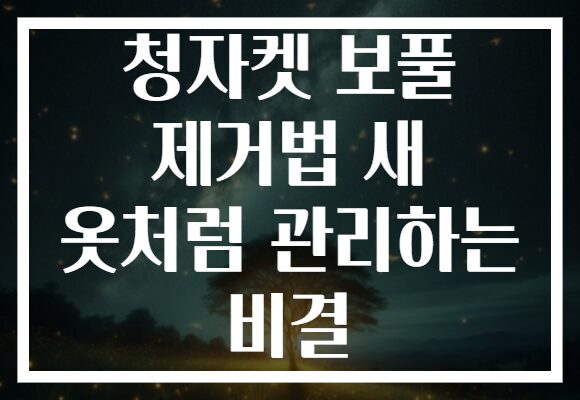청자켓 보풀 제거법 새 옷처럼 관리하는 비결