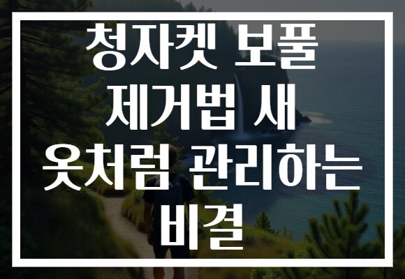 청자켓 보풀 제거법 새 옷처럼 관리하는 비결