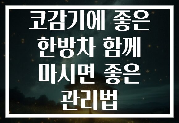 코감기에 좋은 한방차 함께 마시면 좋은 관리법