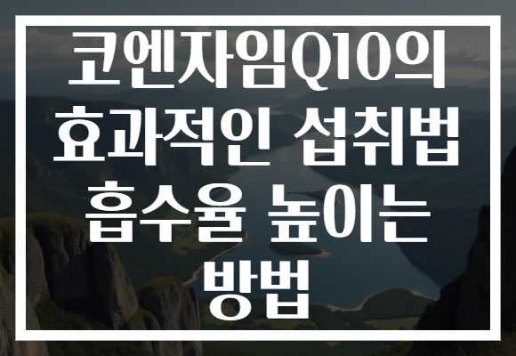 코엔자임Q10의 효과적인 섭취법 흡수율 높이는 방법