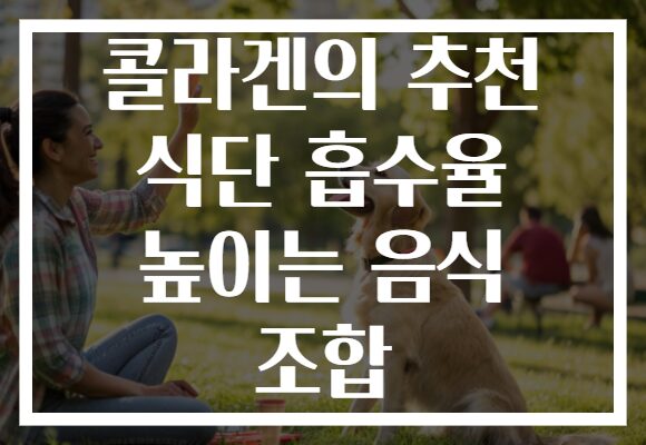 콜라겐의 추천 식단 흡수율 높이는 음식 조합