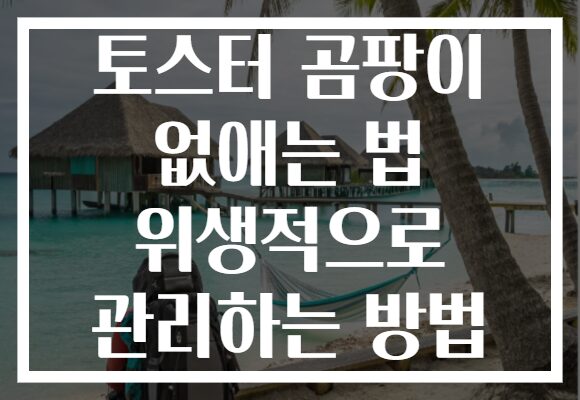토스터 곰팡이 없애는 법 위생적으로 관리하는 방법