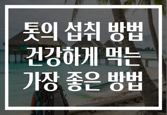 톳의 섭취 방법 건강하게 먹는 가장 좋은 방법