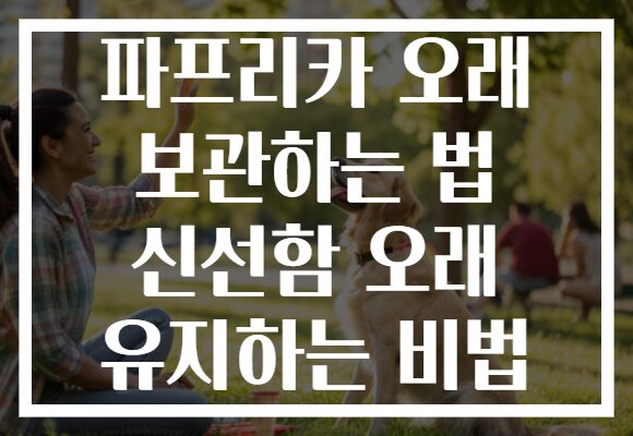 파프리카 오래 보관하는 법 신선함 오래 유지하는 비법