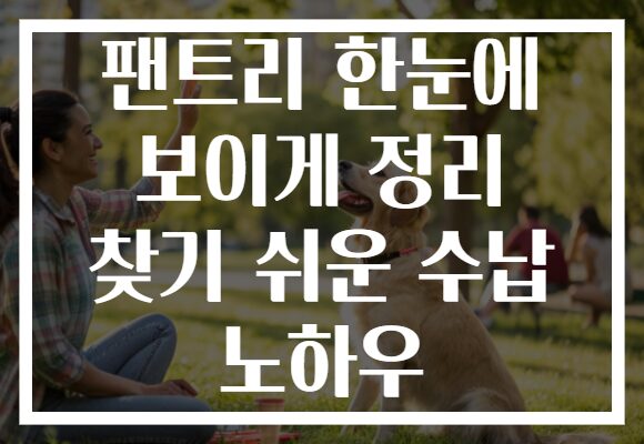 팬트리 한눈에 보이게 정리 찾기 쉬운 수납 노하우