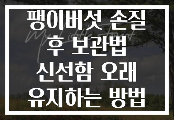 팽이버섯 손질 후 보관법 신선함 오래 유지하는 방법