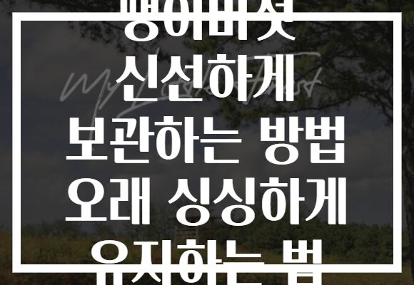 팽이버섯 신선하게 보관하는 방법 오래 싱싱하게 유지하는 법