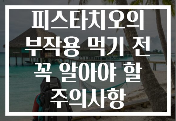 피스타치오의 부작용 먹기 전 꼭 알아야 할 주의사항