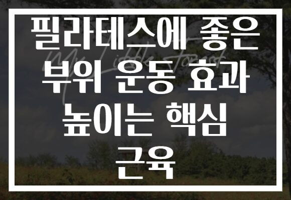 필라테스에 좋은 부위 운동 효과 높이는 핵심 근육