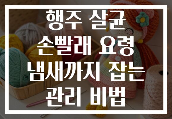 행주 살균 손빨래 요령 냄새까지 잡는 관리 비법
