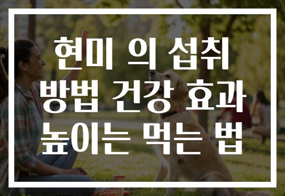 현미 의 섭취 방법 건강 효과 높이는 먹는 법