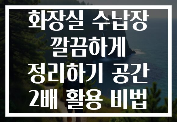 화장실 수납장 깔끔하게 정리하기 공간 2배 활용 비법