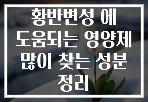 황반변성 에 도움되는 영양제 많이 찾는 성분 정리