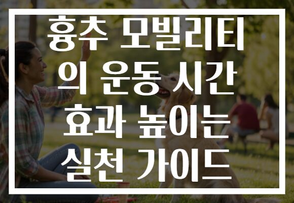 흉추 모빌리티 의 운동 시간 효과 높이는 실천 가이드
