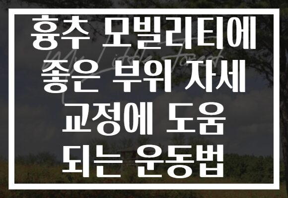 흉추 모빌리티에 좋은 부위 자세 교정에 도움 되는 운동법