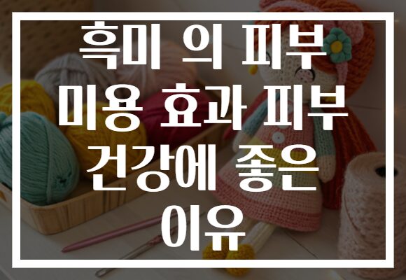 흑미 의 피부 미용 효과 피부 건강에 좋은 이유