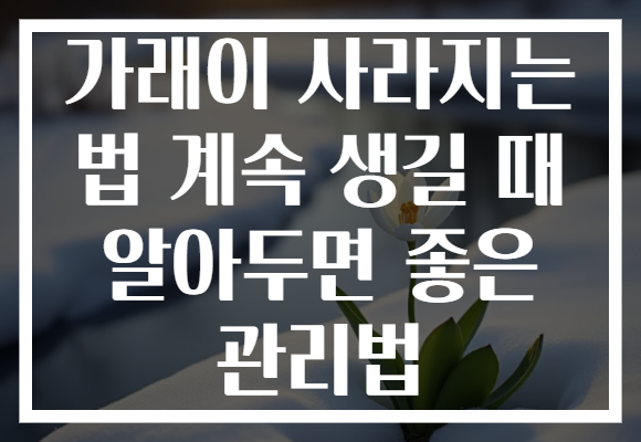가래이 사라지는 법 계속 생길 때 알아두면 좋은 관리법