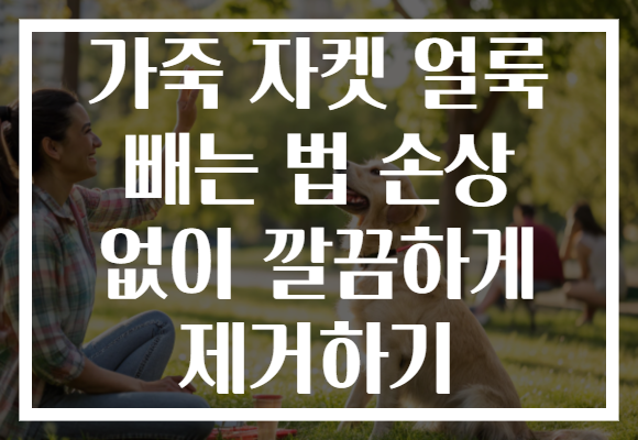 가죽 자켓 얼룩 빼는 법 손상 없이 깔끔하게 제거하기