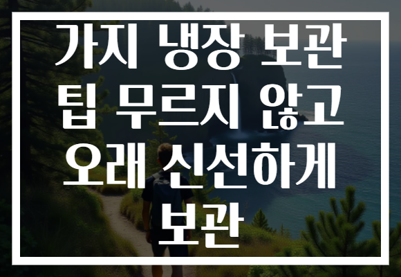 가지 냉장 보관 팁 무르지 않고 오래 신선하게 보관