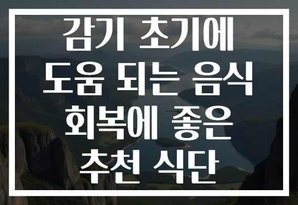 감기 초기에 도움 되는 음식 회복에 좋은 추천 식단