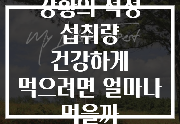 강황의 적정 섭취량 건강하게 먹으려면 얼마나 먹을까