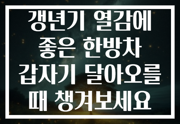 갱년기 열감에 좋은 한방차 갑자기 달아오를 때 챙겨보세요