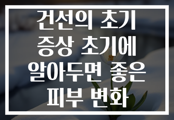 건선의 초기 증상 초기에 알아두면 좋은 피부 변화