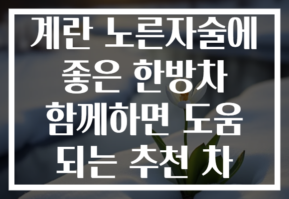 계란 노른자술에 좋은 한방차 함께하면 도움 되는 추천 차