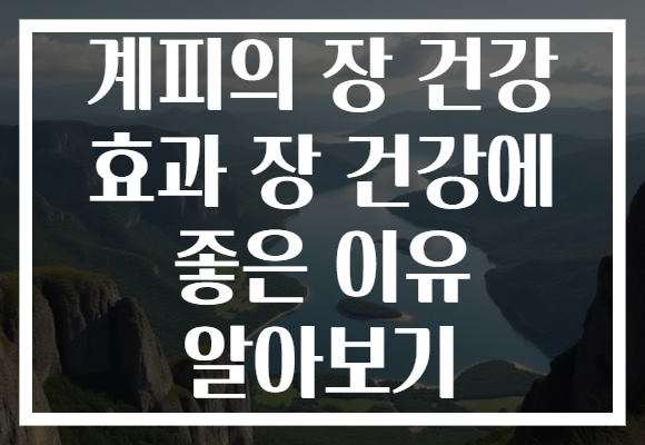 계피의 장 건강 효과 장 건강에 좋은 이유 알아보기