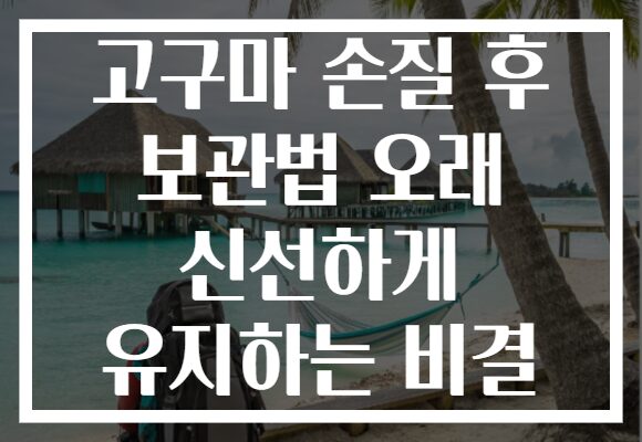 고구마 손질 후 보관법 오래 신선하게 유지하는 비결