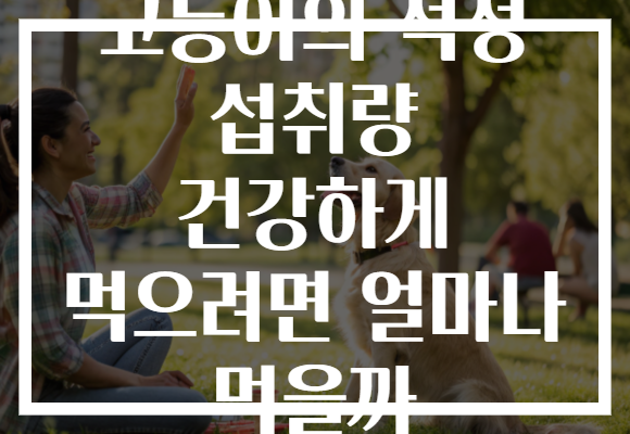 고등어의 적정 섭취량 건강하게 먹으려면 얼마나 먹을까
