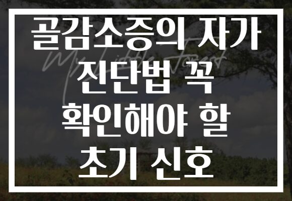 골감소증의 자가 진단법 꼭 확인해야 할 초기 신호