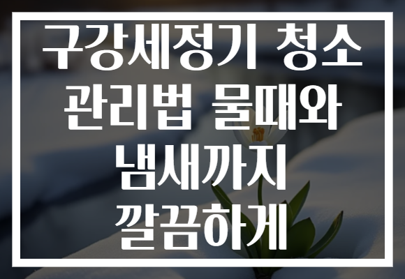 구강세정기 청소 관리법 물때와 냄새까지 깔끔하게