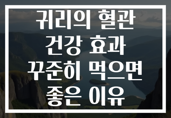 귀리의 혈관 건강 효과 꾸준히 먹으면 좋은 이유