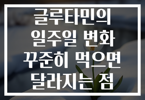 글루타민의 일주일 변화 꾸준히 먹으면 달라지는 점
