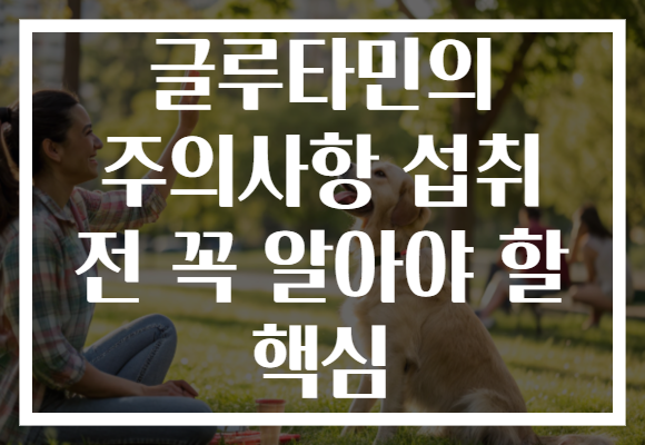 글루타민의 주의사항 섭취 전 꼭 알아야 할 핵심
