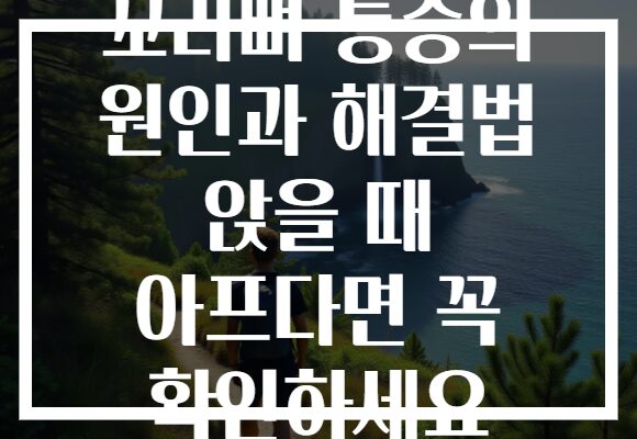 꼬리뼈 통증의 원인과 해결법 앉을 때 아프다면 꼭 확인하세요