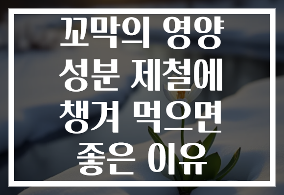 꼬막의 영양 성분 제철에 챙겨 먹으면 좋은 이유