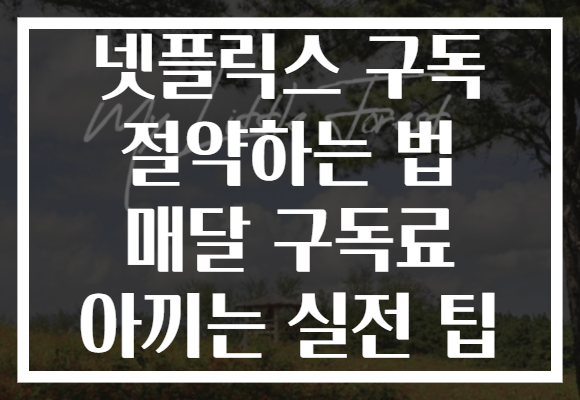 넷플릭스 구독 절약하는 법 매달 구독료 아끼는 실전 팁