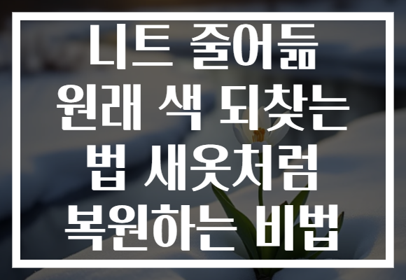 니트 줄어듦 원래 색 되찾는 법 새옷처럼 복원하는 비법