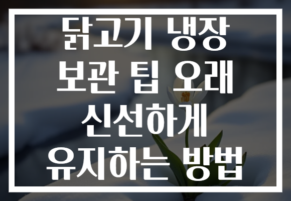 닭고기 냉장 보관 팁 오래 신선하게 유지하는 방법