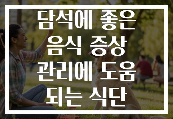 담석에 좋은 음식 증상 관리에 도움 되는 식단