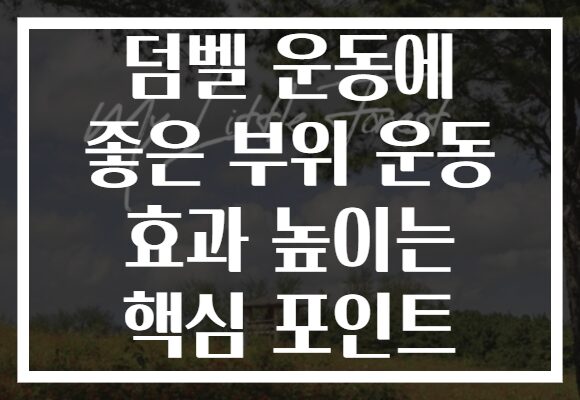 덤벨 운동에 좋은 부위 운동 효과 높이는 핵심 포인트
