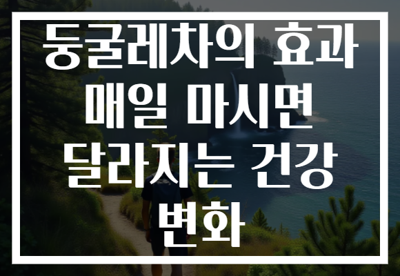 둥굴레차의 효과 매일 마시면 달라지는 건강 변화