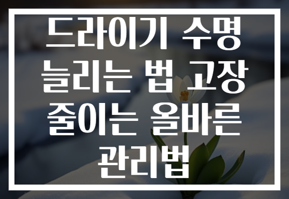 드라이기 수명 늘리는 법 고장 줄이는 올바른 관리법