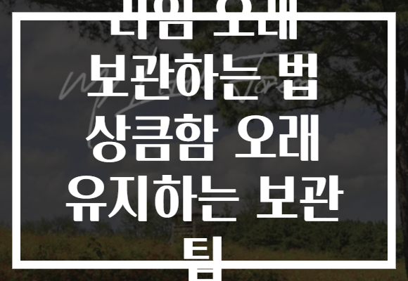 라임 오래 보관하는 법 상큼함 오래 유지하는 보관 팁